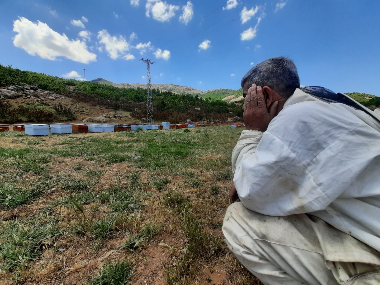 Bal şehri Bingöl’de kuraklık arıcıları da vurdu, dünya ikincisi bal tehlikeye girdi