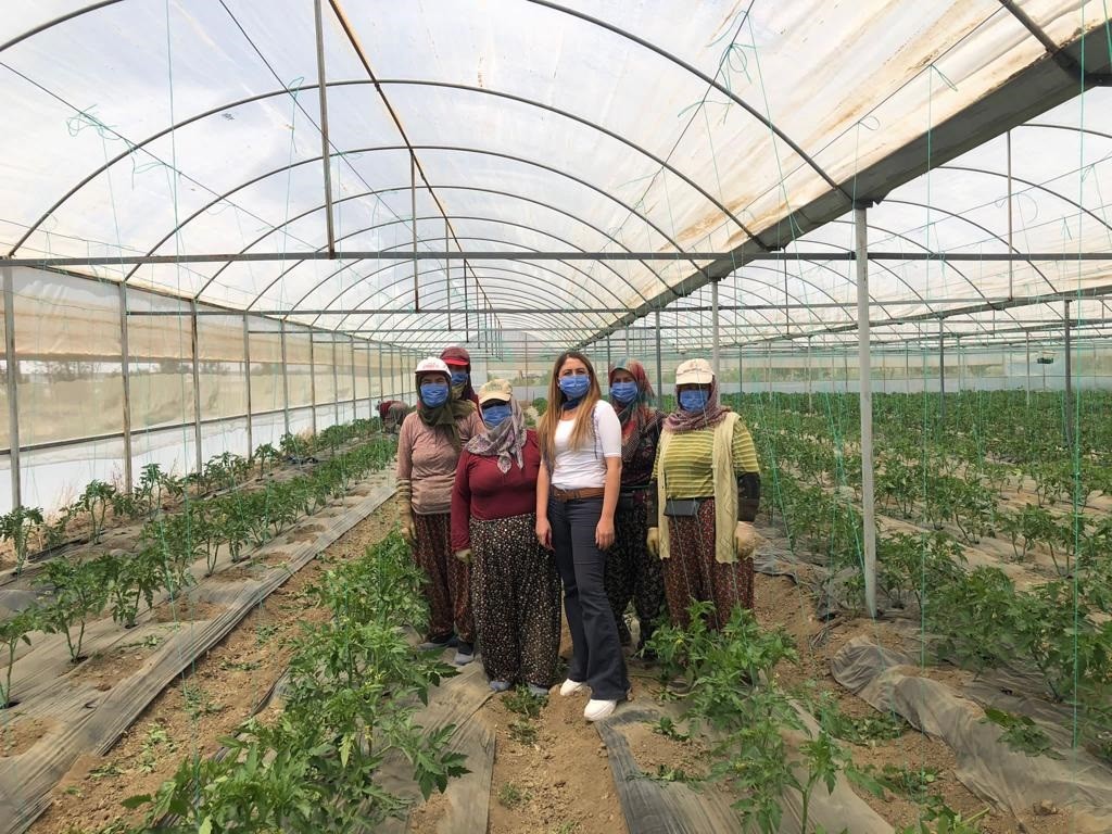 Antalya’nın yaylalarında örtü altı üretim artıyor