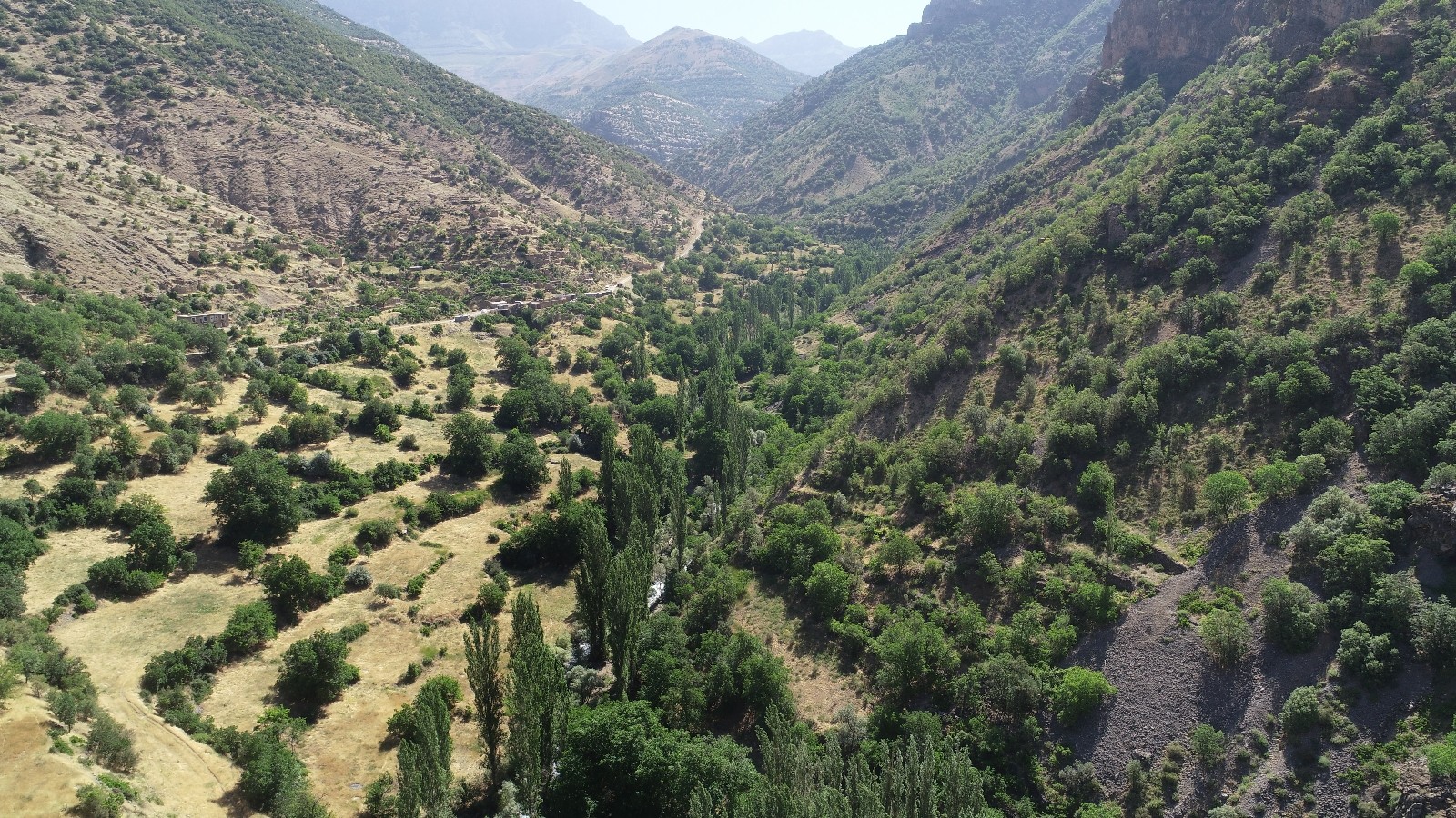 Terör bitti köylere geri dönüşler hızlandı