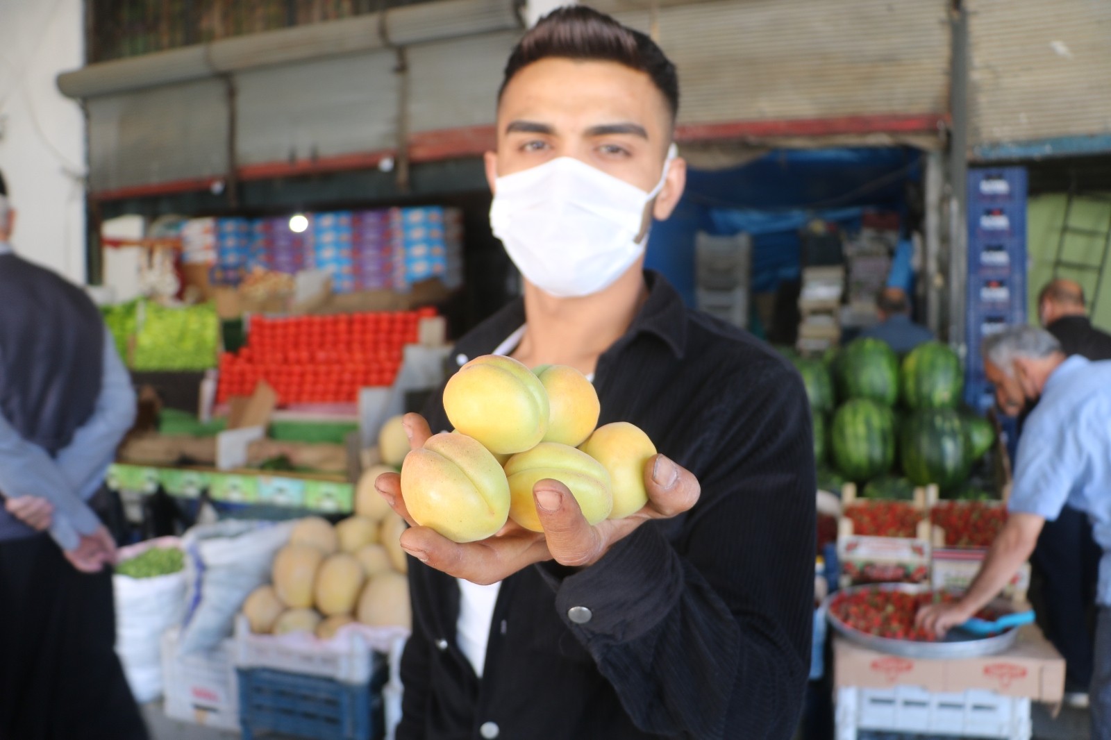 Lezzeti ve ünü ülke sınırlarını aşan Malatya kayısısı tezgaha indi