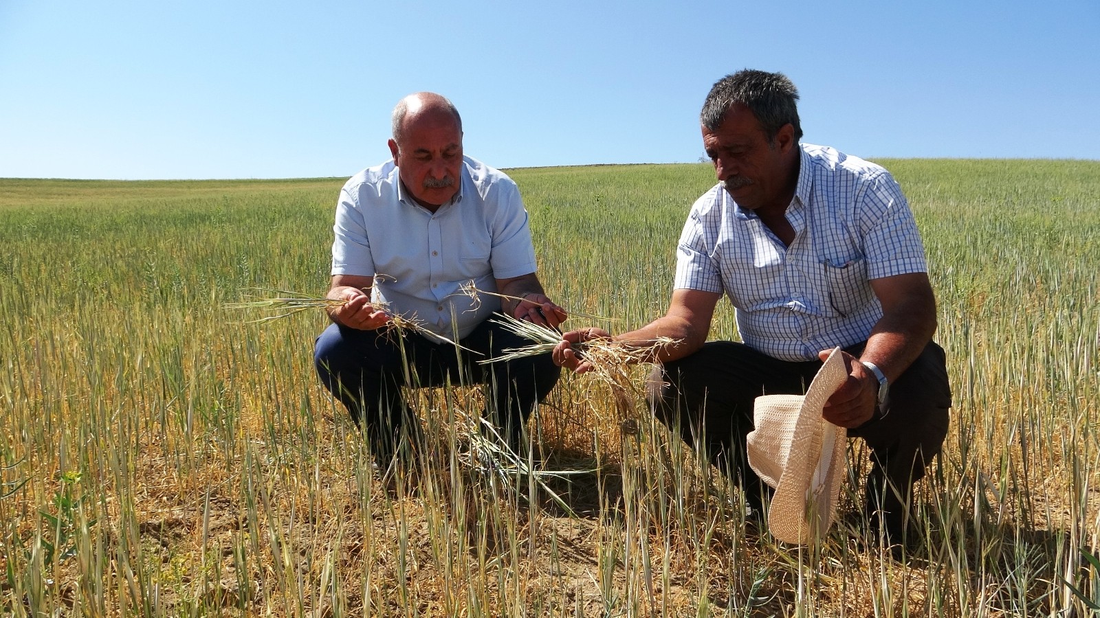 (Özel) Van’da kuraklık çiftçileri vurdu