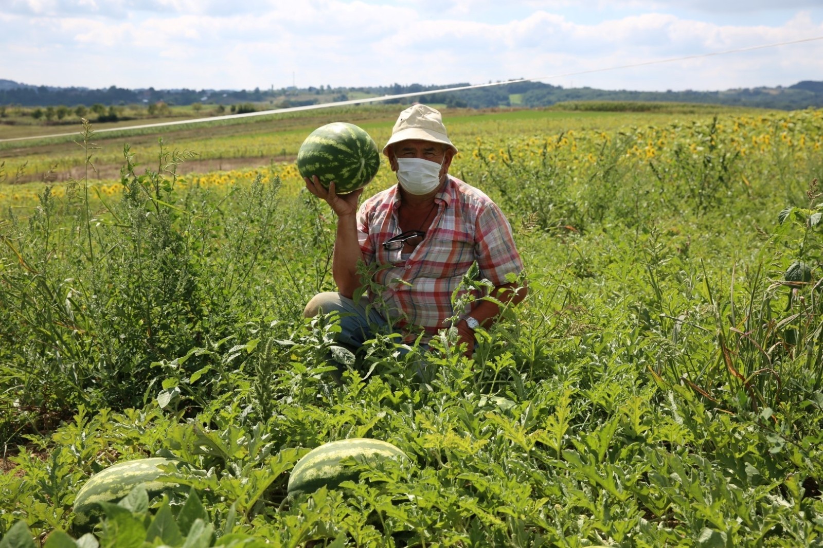 Kandıra karpuzu tescillendi