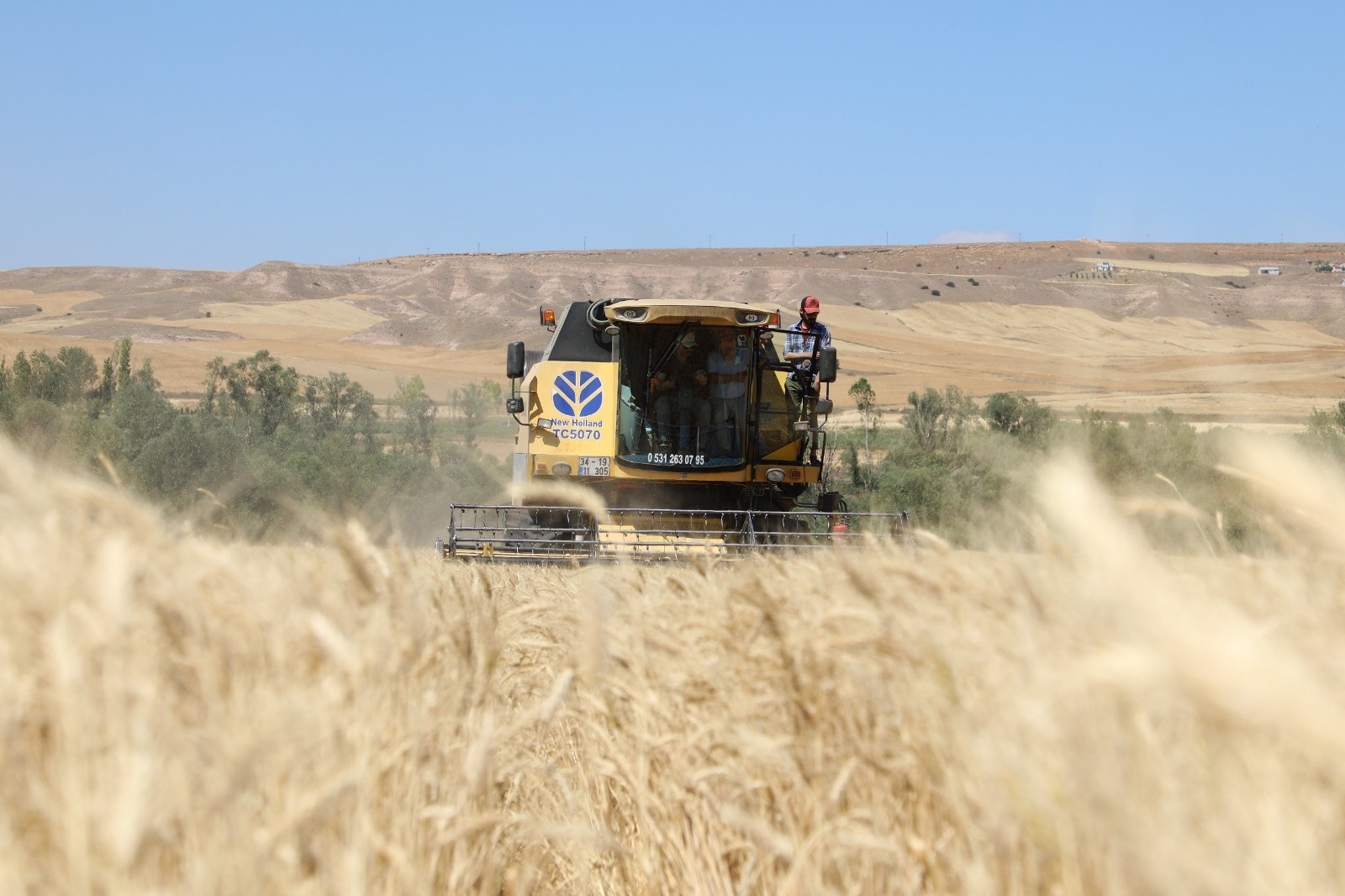 Türkiye’nin buğday ambarında hasat başladı