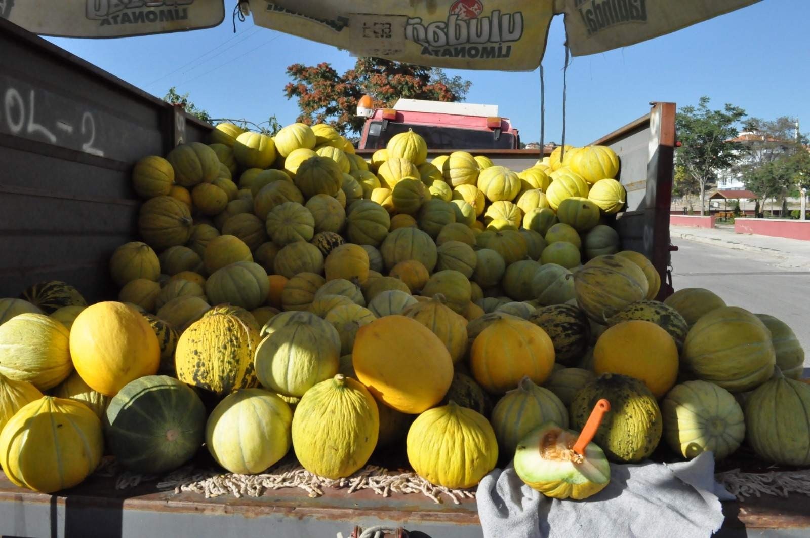 Sungurlu’nun 10 dilim kavunu tezgahlarda yerini aldı