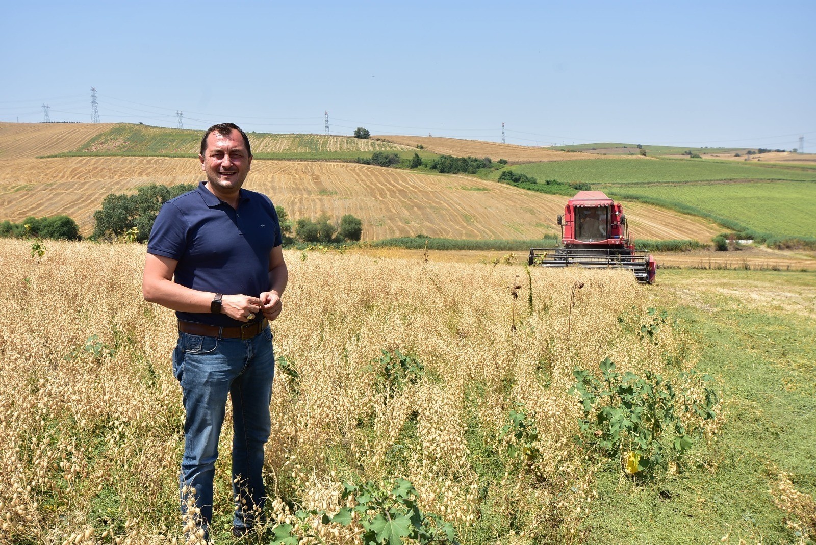 Tekirdağ’da yılın ilk nohut hasadı