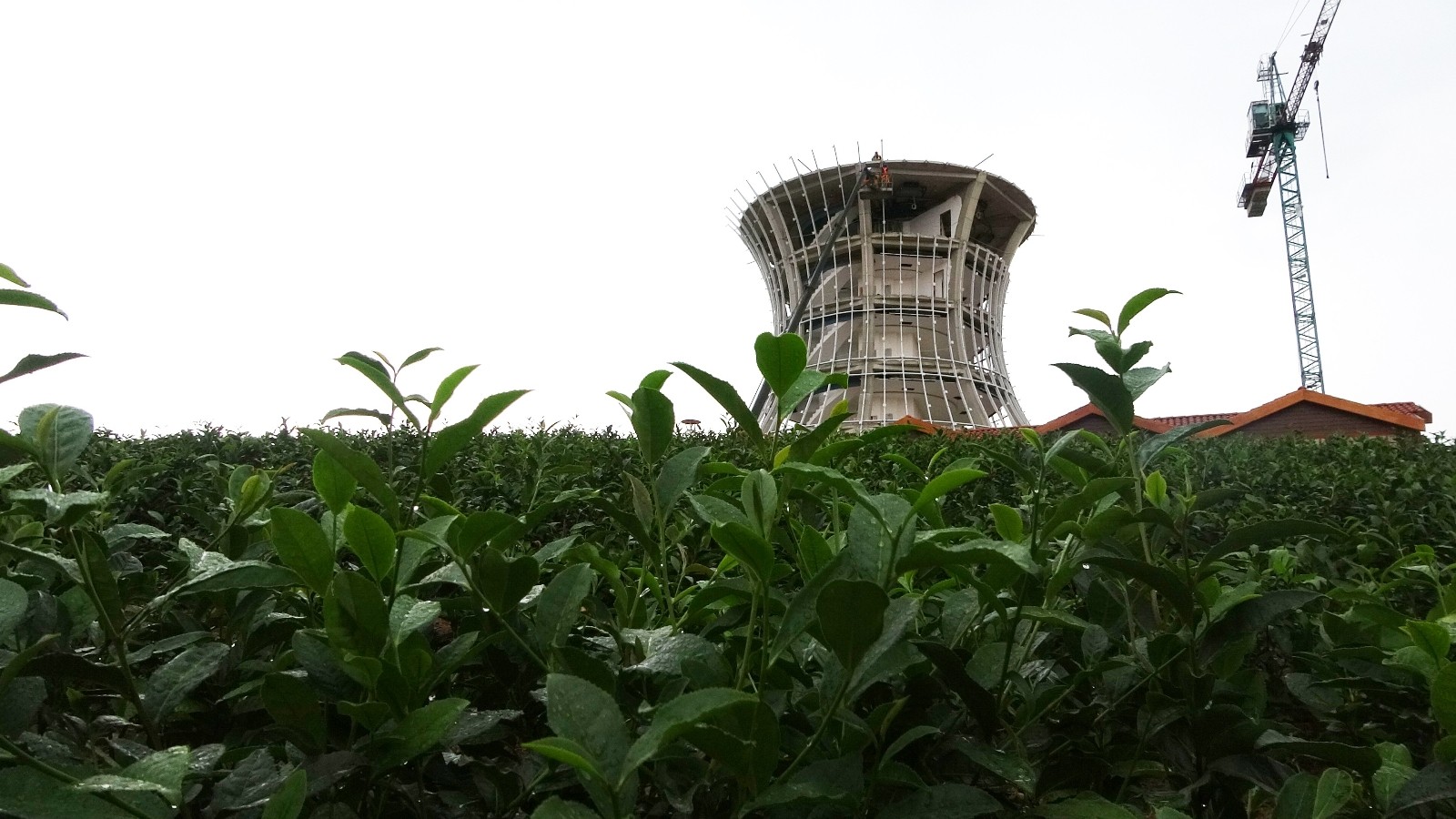 Çay Çarşısı’nda sadece göze değil buruna da hitap edilecek