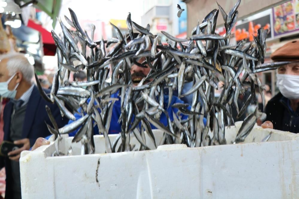 Bu sene palamut yerine hamsinin senesi olacak