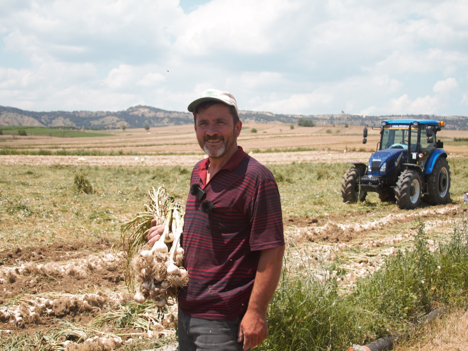 Taşköprü’deki sarımsak model üretim alanında verim yüzde 20 arttı