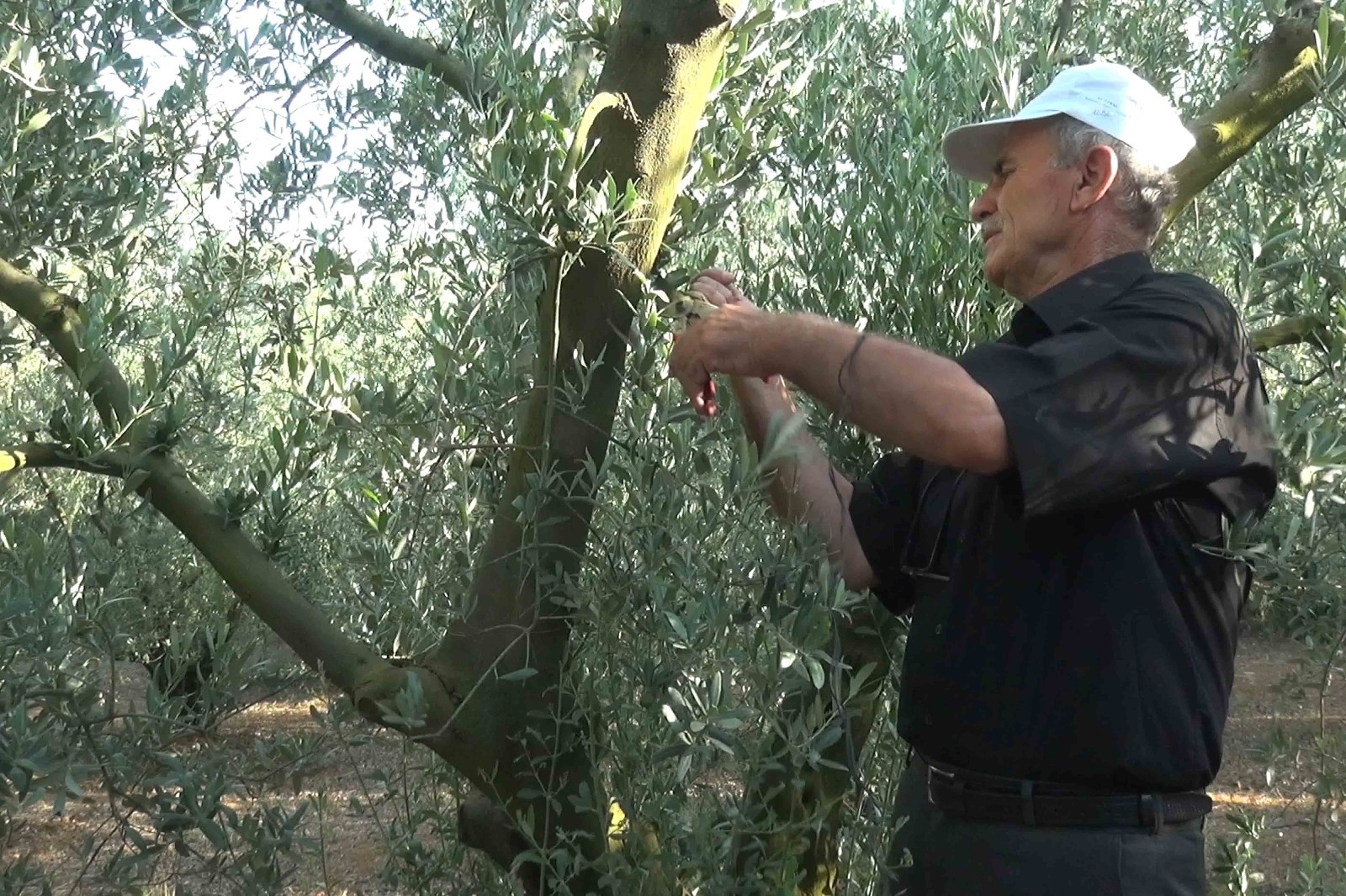 Karacabey’de çekilen ‘Tarım Sohbetleri’ ilgi görüyor