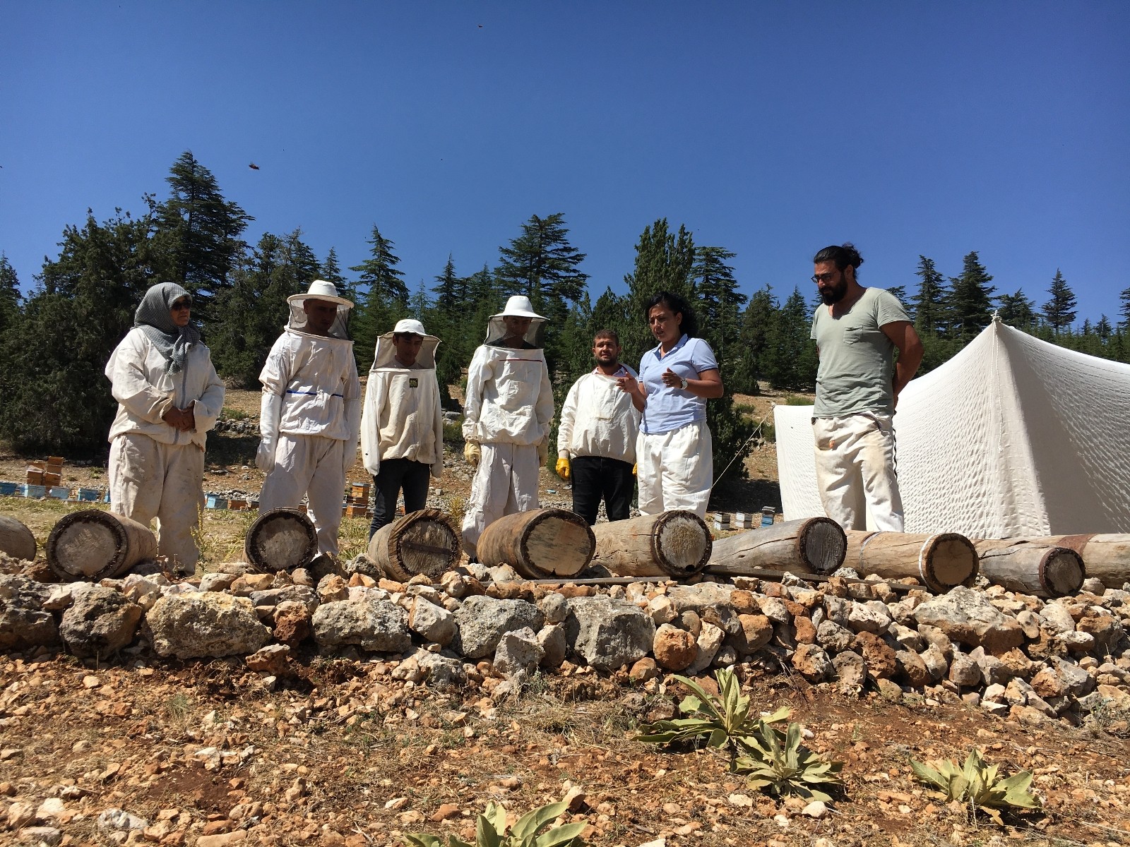 Toroslar’da Yörüklerin göç yolunda ürettiği asırlık bal yeniden üretilecek