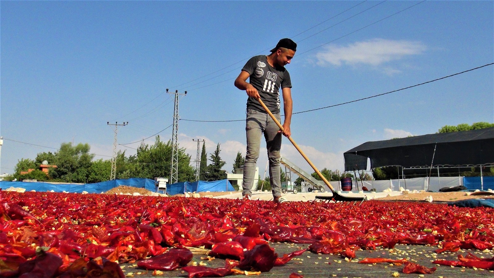 Şanlıurfa’da acı telaş