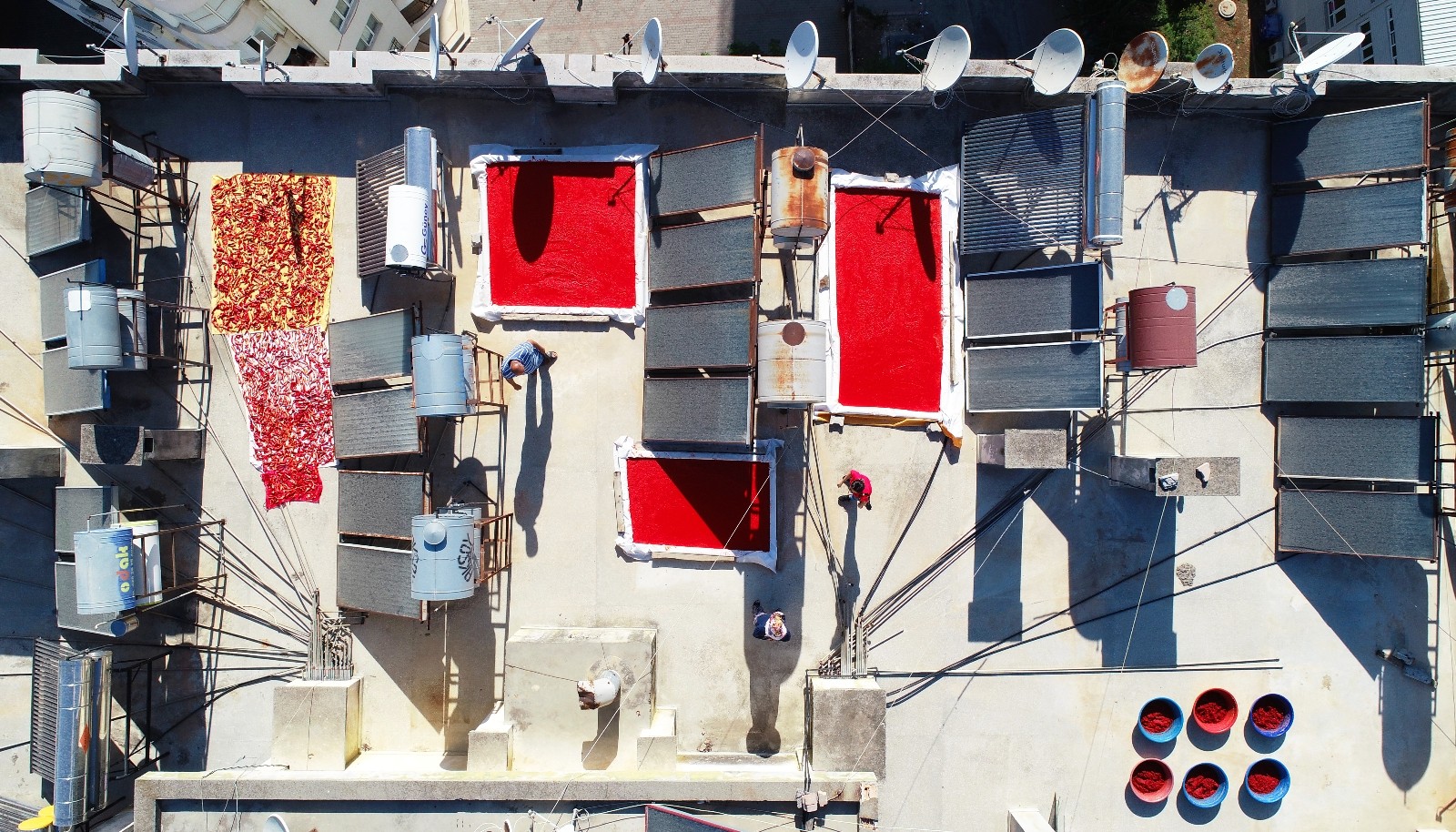 Salça sezonunun başladığı Adana’da damlar kırmızıya boyanıyor