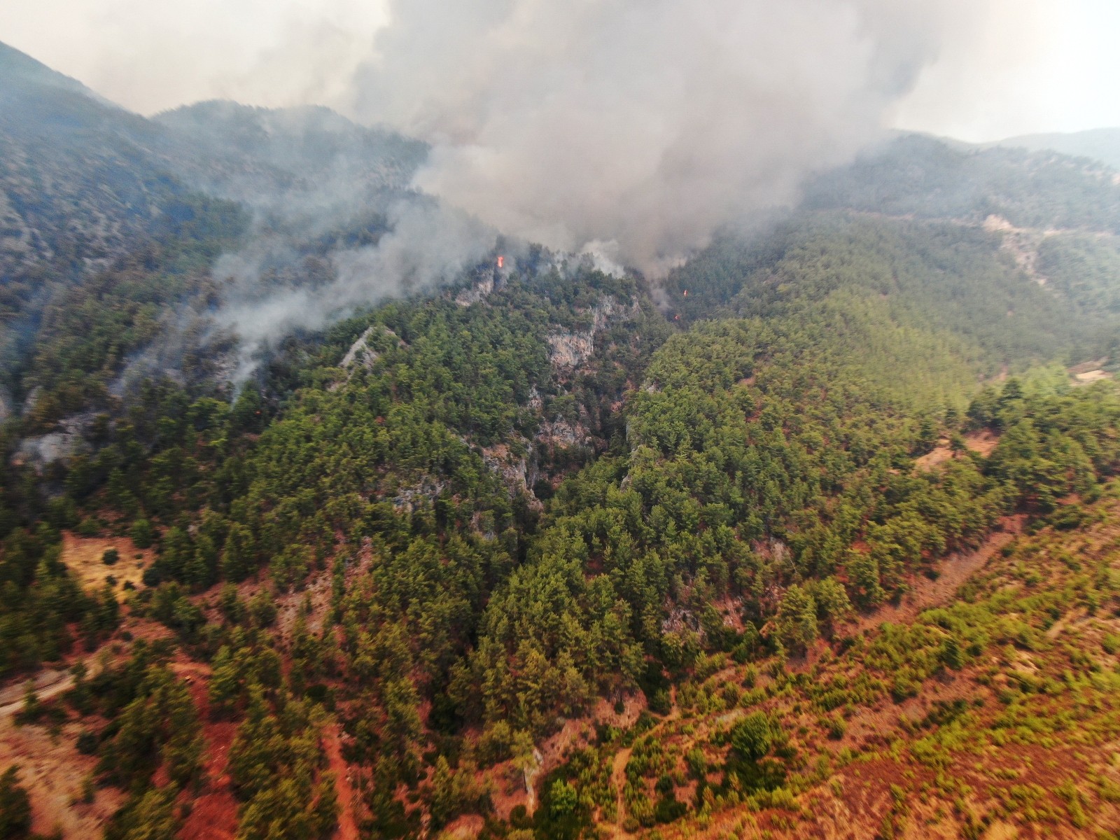 Arıcıların zor süreçte desteğe ihtiyacı var