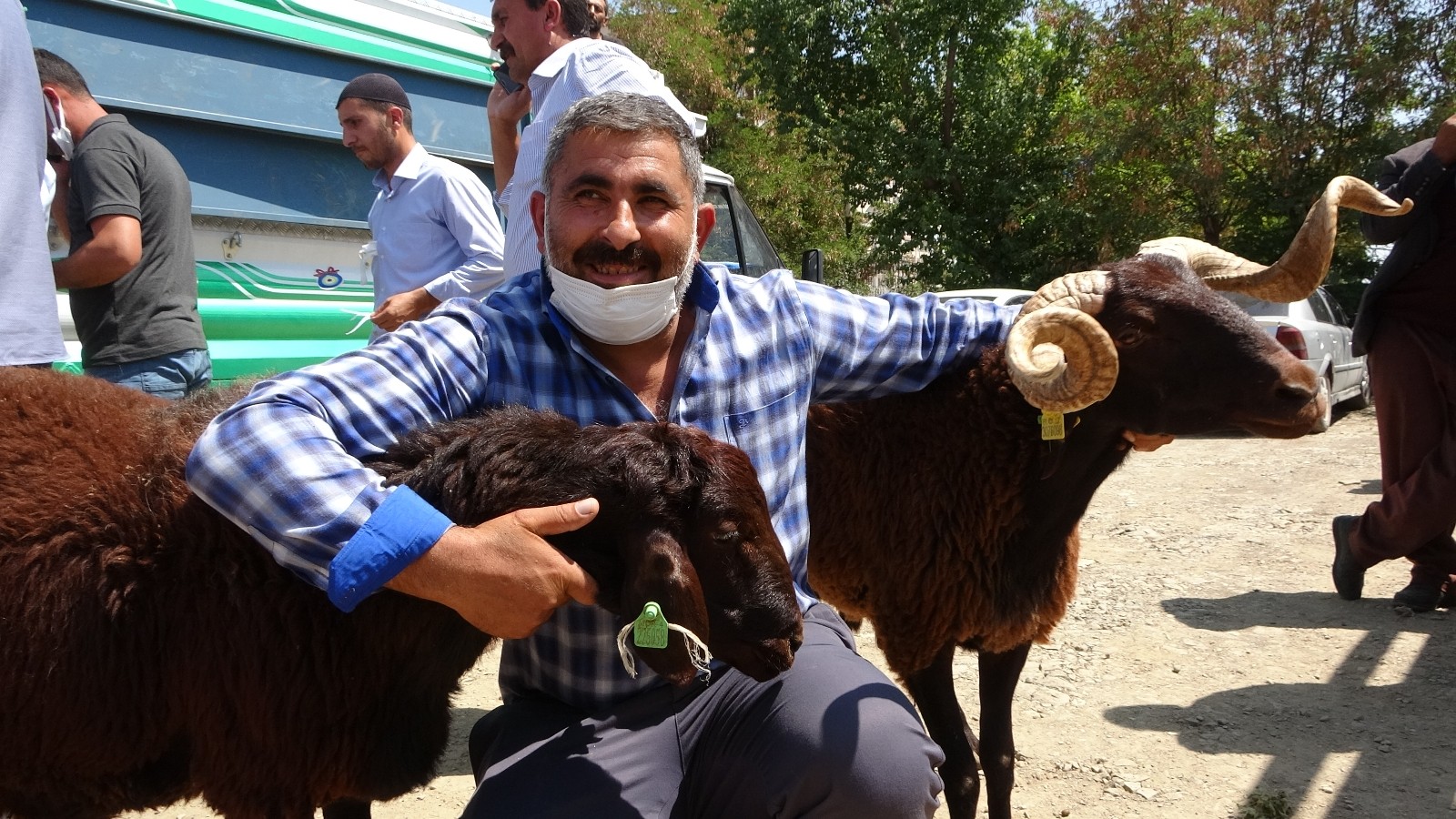Muş’ta çiftçilere devlet destekli koç dağıtımı yapıldı
