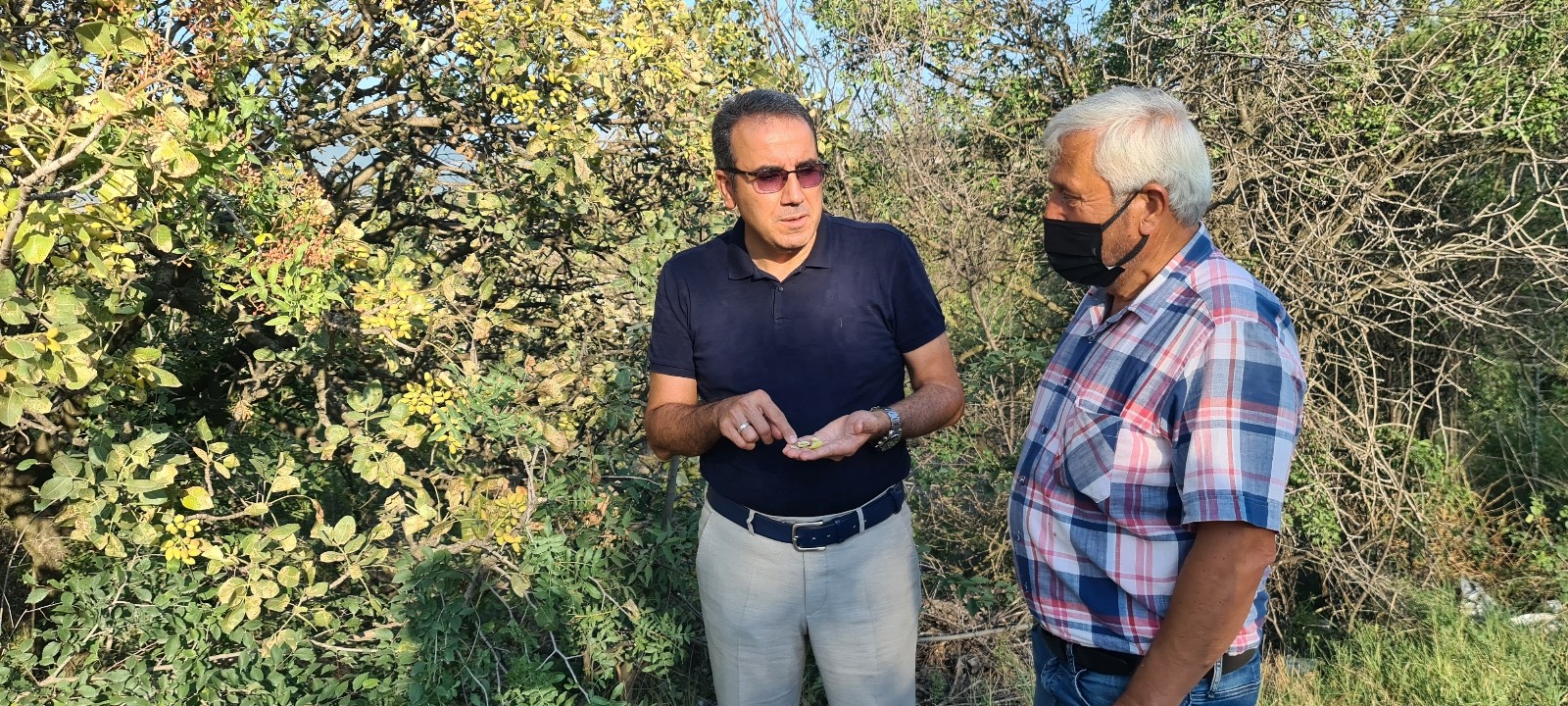 Fıstık kenti olma yolunda ilerleyen Karabük’te hedef yüksek rekolte