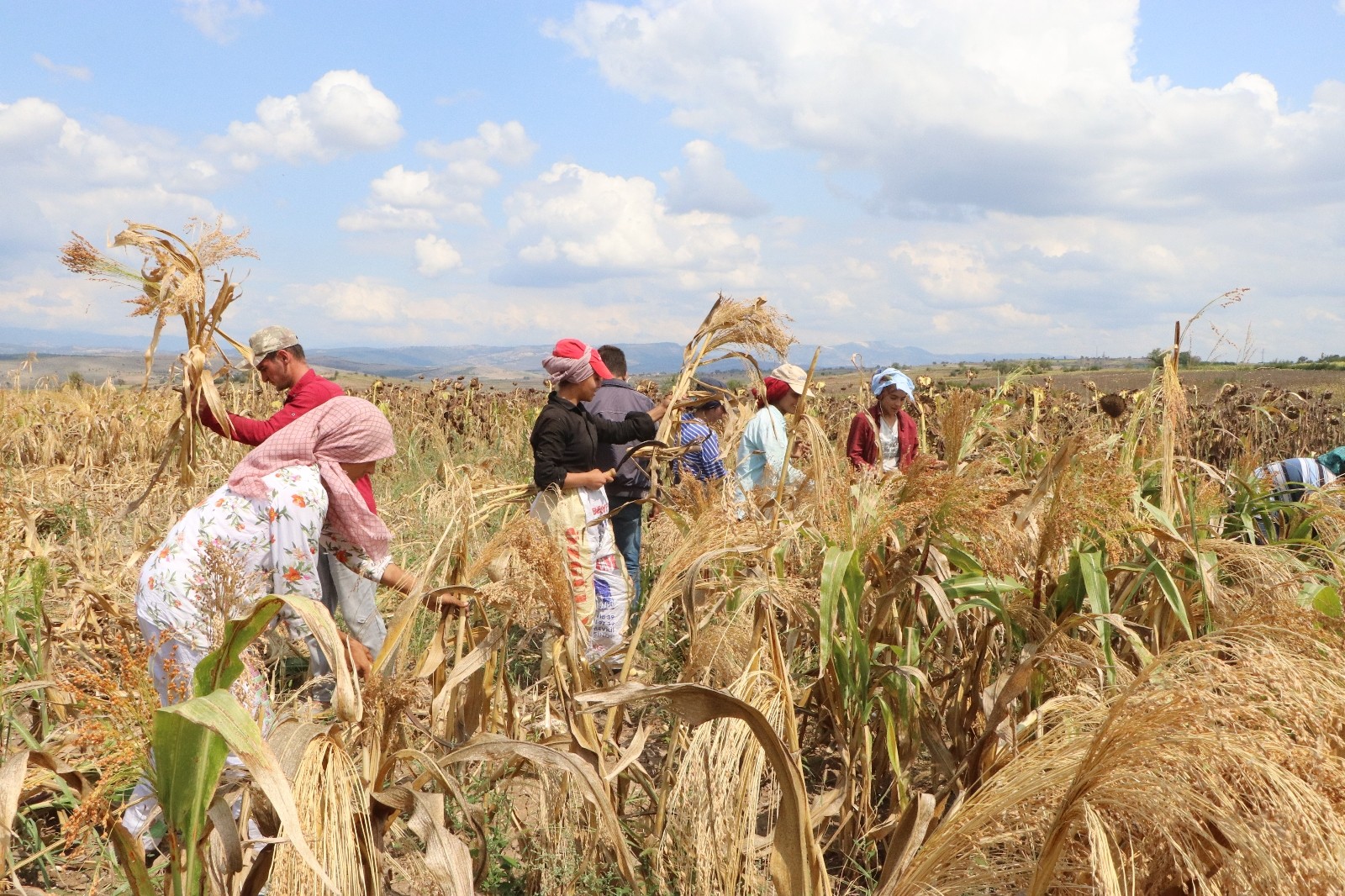 Samsun Türkiye’yi süpürüyor