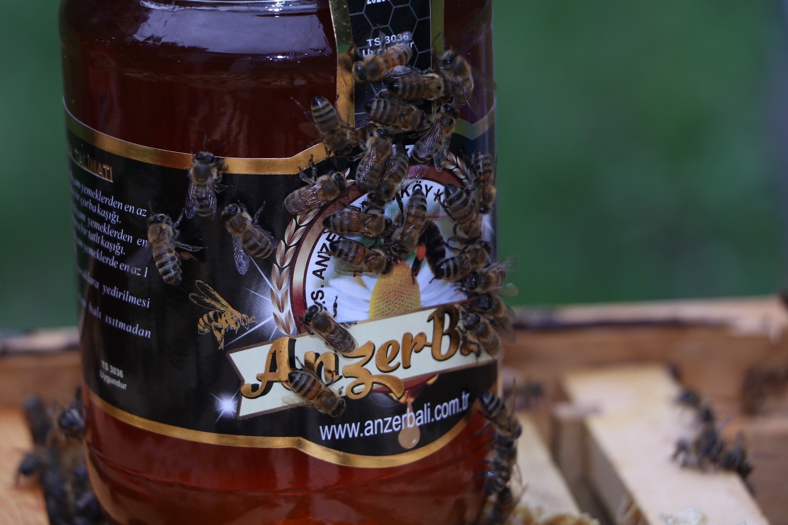 Anzer balı bu yıl bin 200 TL’den satılacak