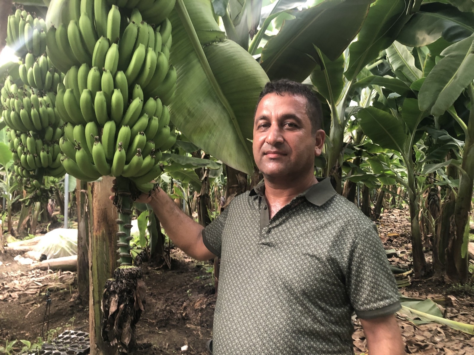 Bankalar "yetişmez" diye kredi vermedi şimdi bölgenin örnek çiftçisi oldu