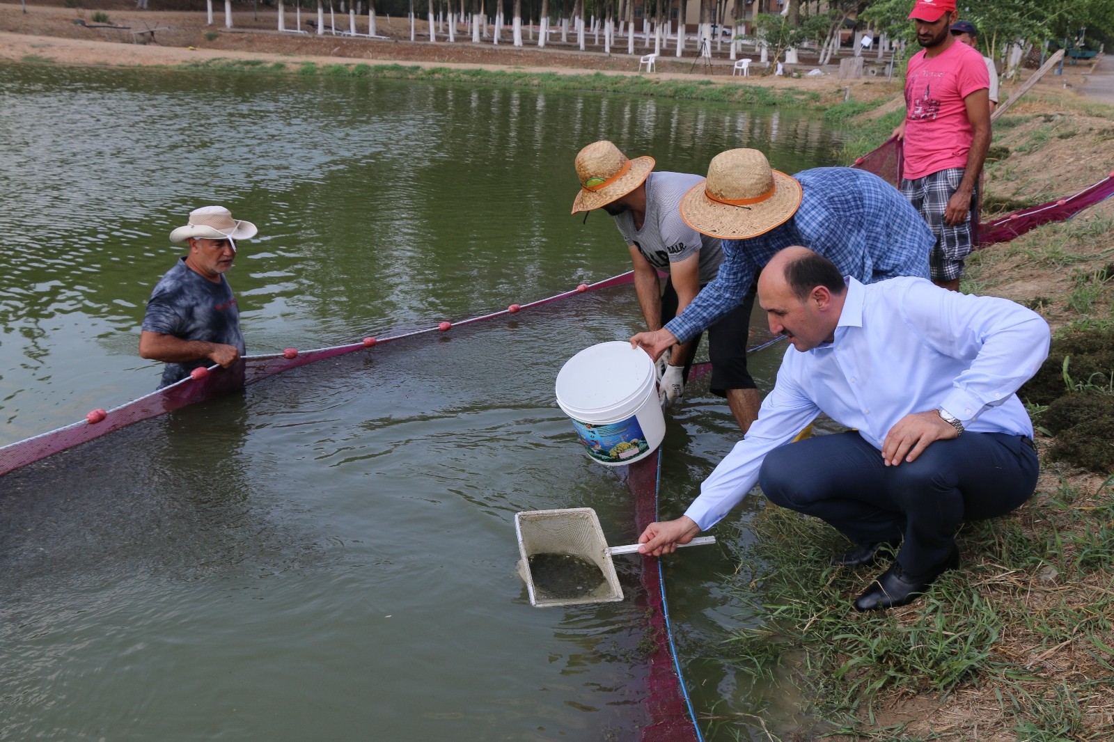 Göl ve göletlere yavru balık takviyesi Adana’dan