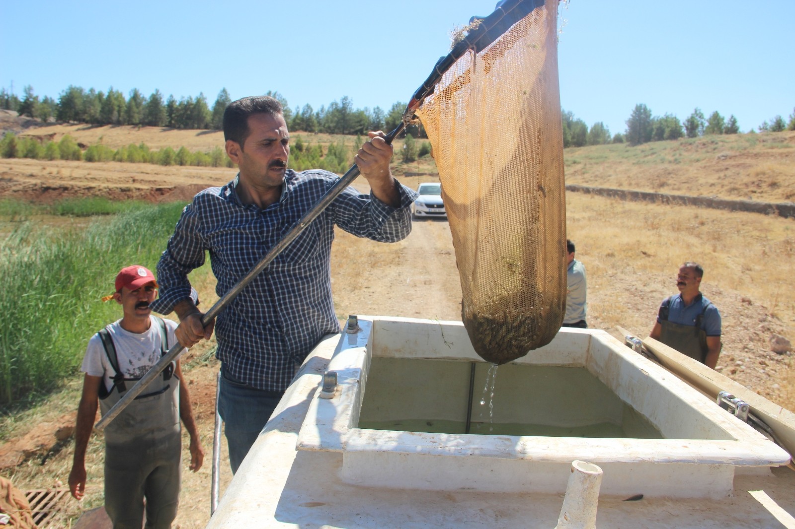 Şanlıurfa’da üretilen 17 milyon yavru balık 16 ile gönderildi