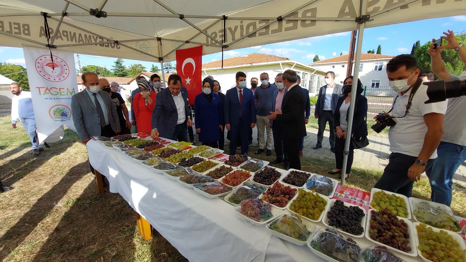 Türkiye’nin bağcılık merkezinde bağbozumu etkinliği