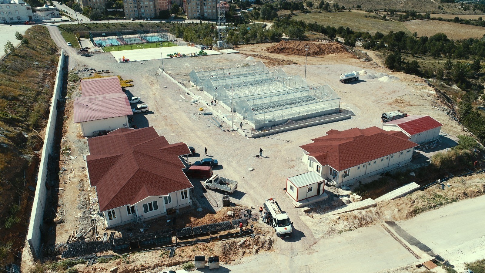 Kastamonu Belediyesi yılda 100 bin ata tohumu fidesi üretecek
