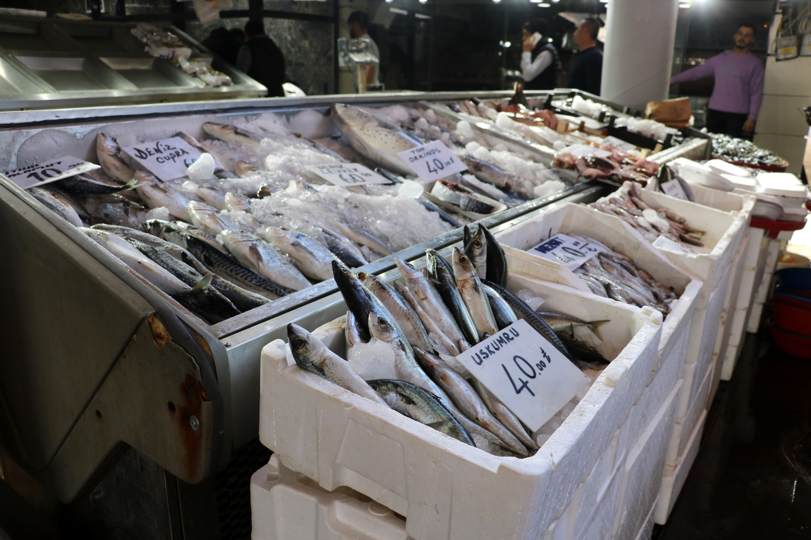 Tezgahlarda yerini alan balıklar yüksek fiyatlarla alıcı buluyor