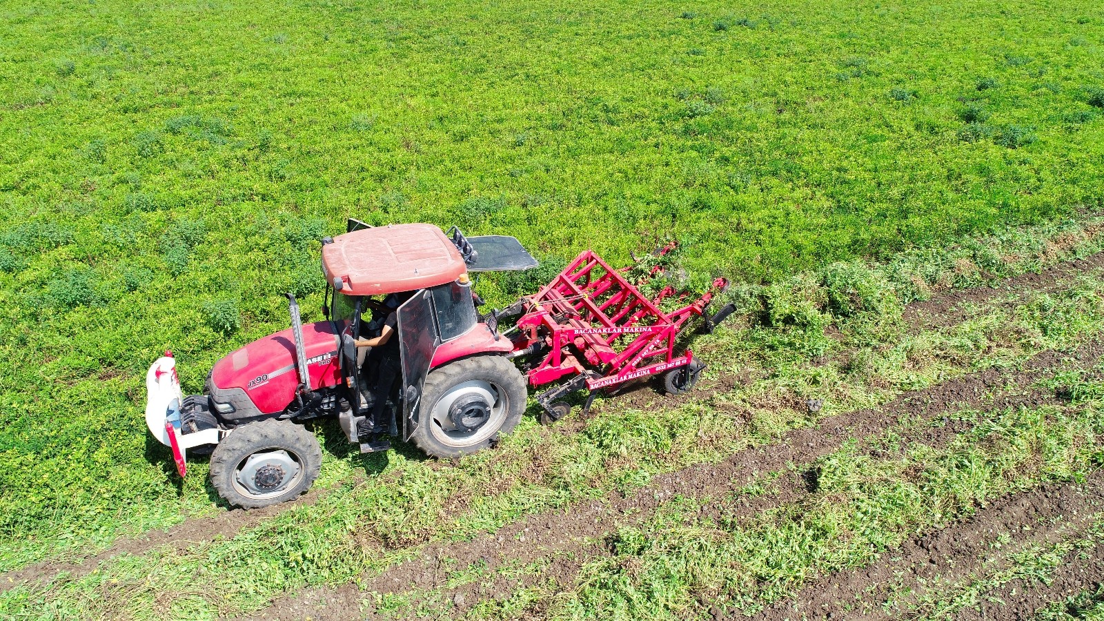 Yer fıstığı fiyatları yüzde 50 düştü