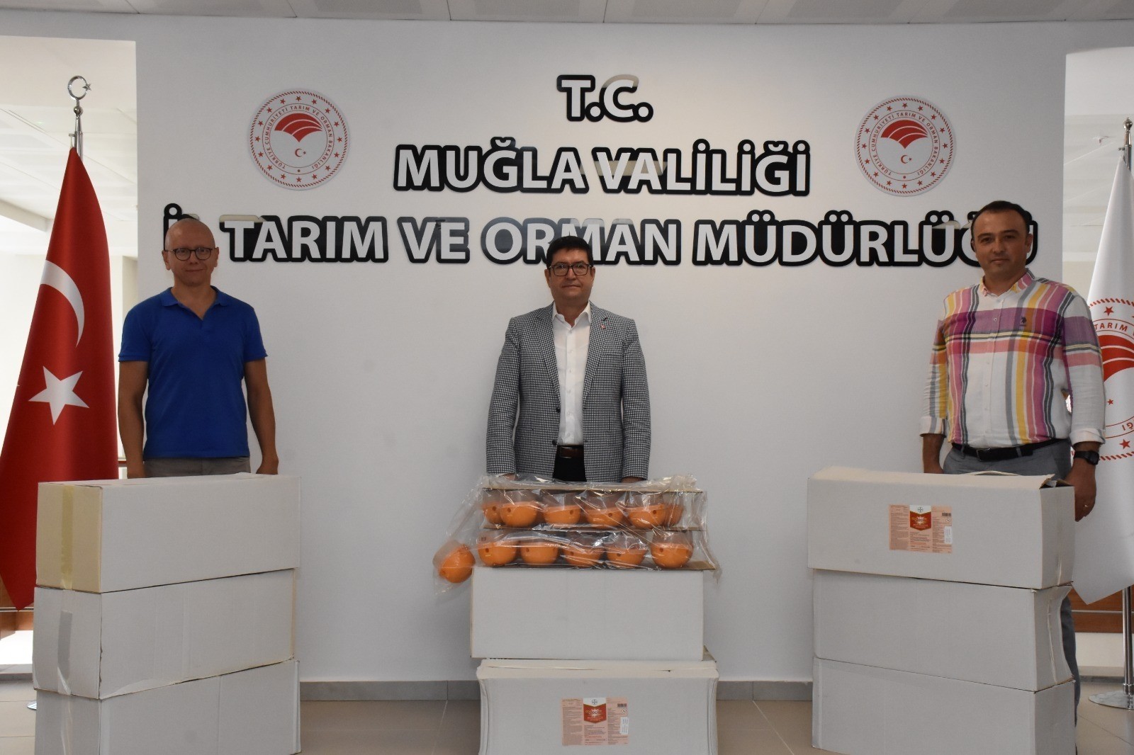 Akdeniz meyve sineği ile mücadele devam ediyor