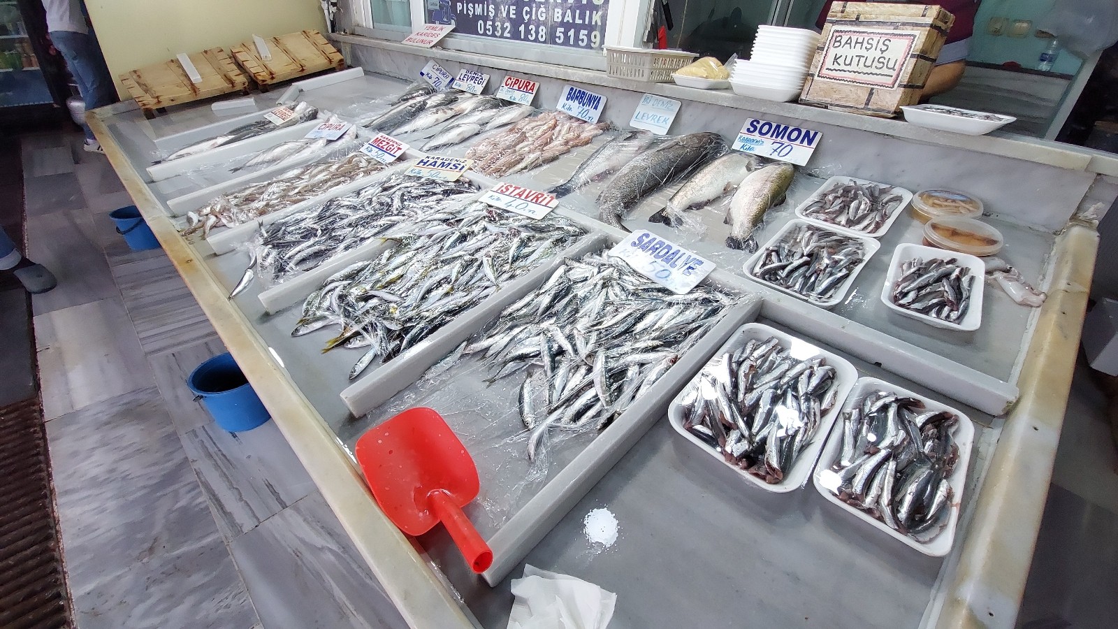 Marmara’da poyraz etkisini kaybetti, balık fiyatlarında düşüş bekleniyor