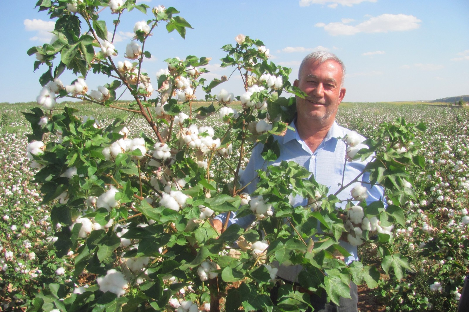 Gaziantep’te beyaz altında rekolte sevinci