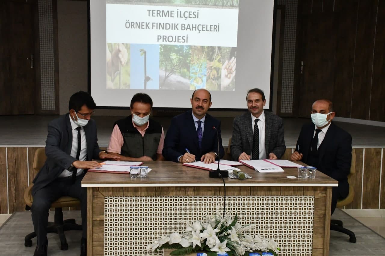 Terme’ye ’örnek fındık bahçeleri’ kuruluyor: Kalite ve verim artacak