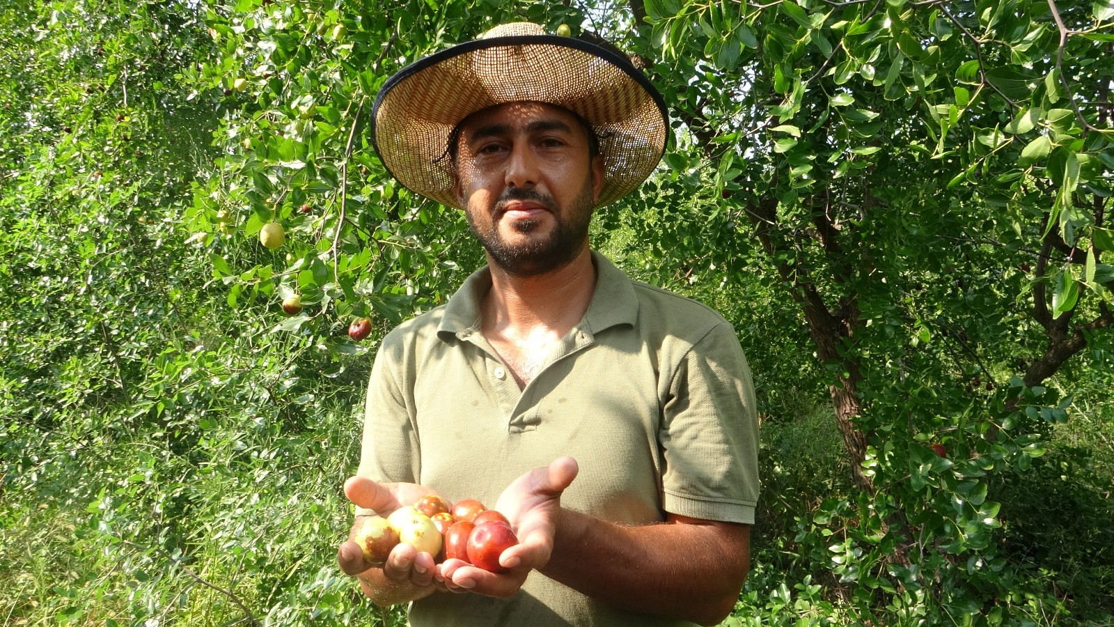 Yoldan geçen hünnap tüccarı hayatını değiştirdi