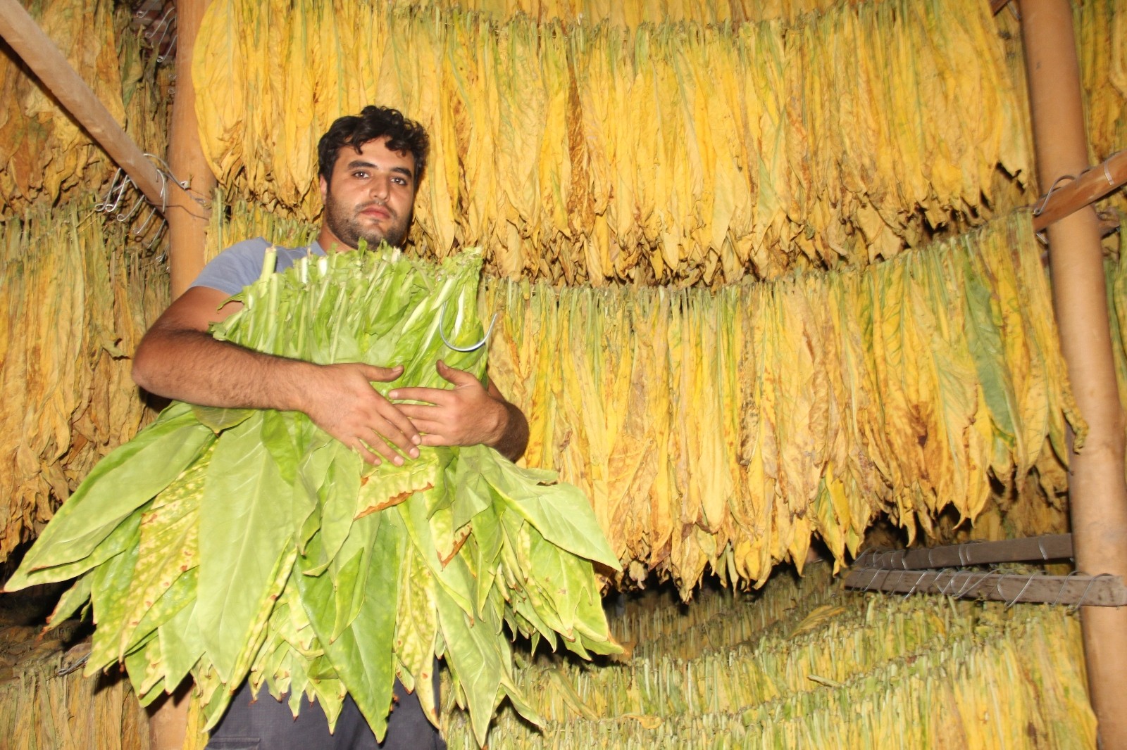 Çatı katı değil ‘tütün’ katı