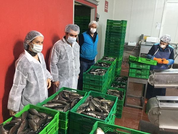 Bilecik’ten Çek Cumhuriyeti ve Rusya’ya alabalık ihracatı