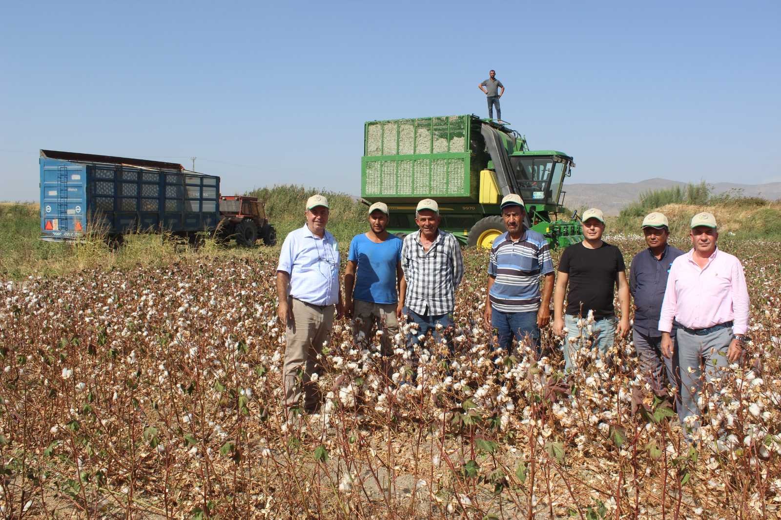 Pamuk ekimi yüzde 50 arttı