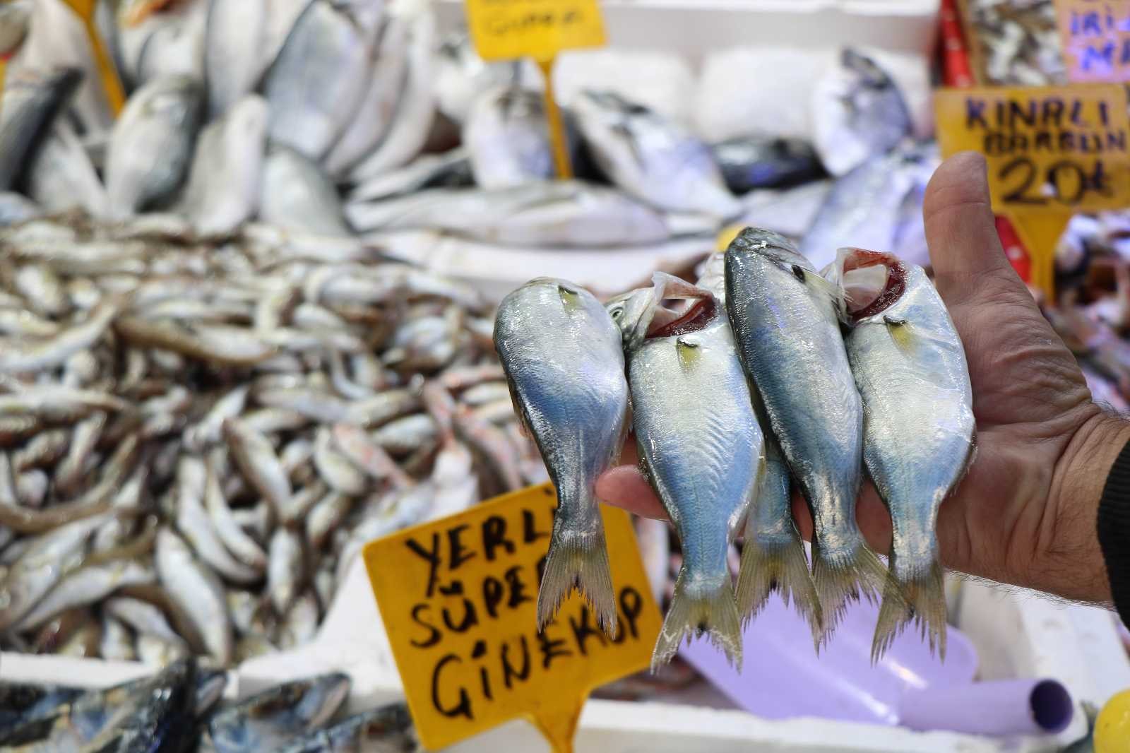 Havalar bozdu Karadeniz’de ‘çinekop’ patlaması yaşandı