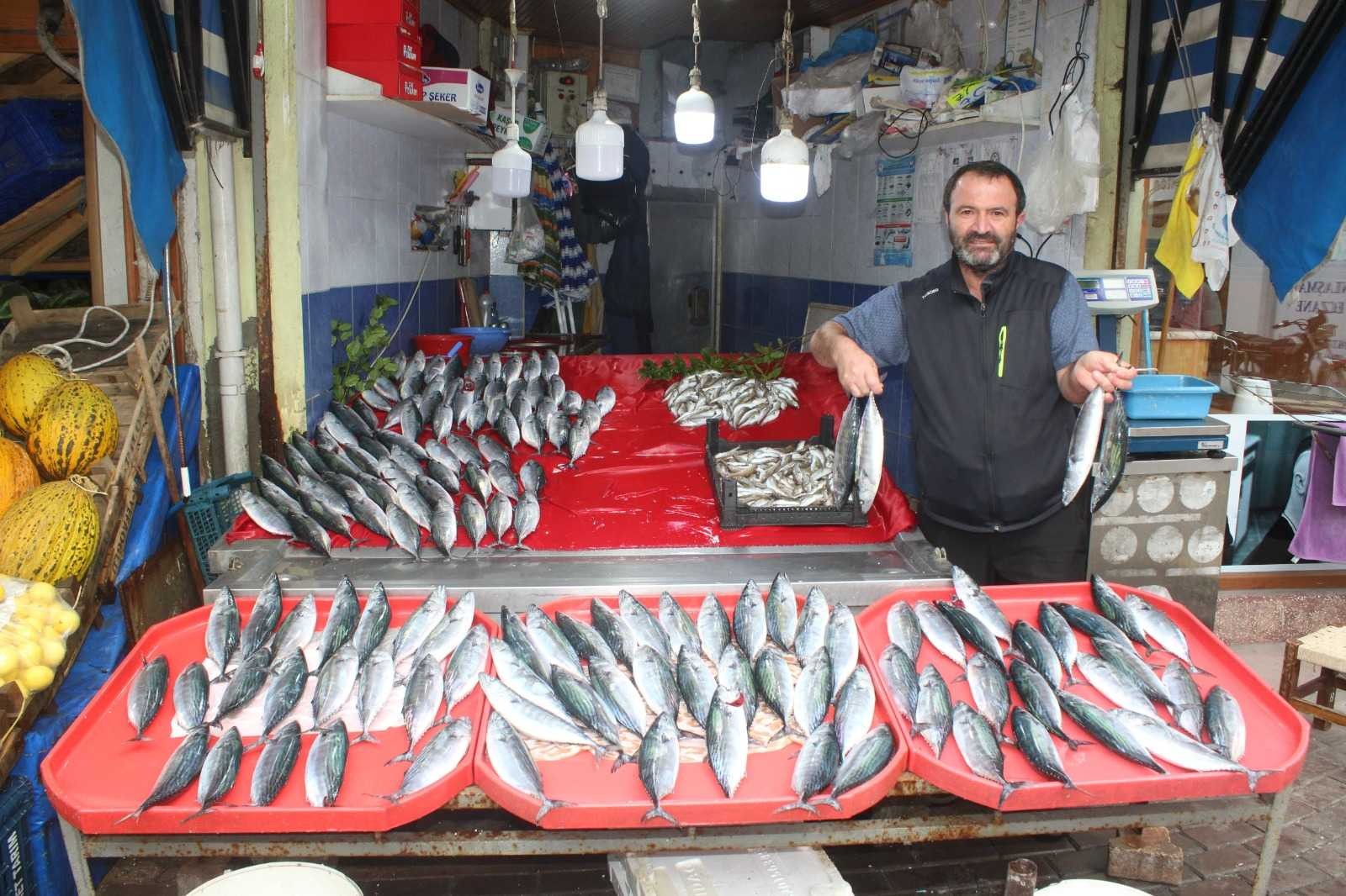 Tezgahları hamsi ve palamut süslüyor