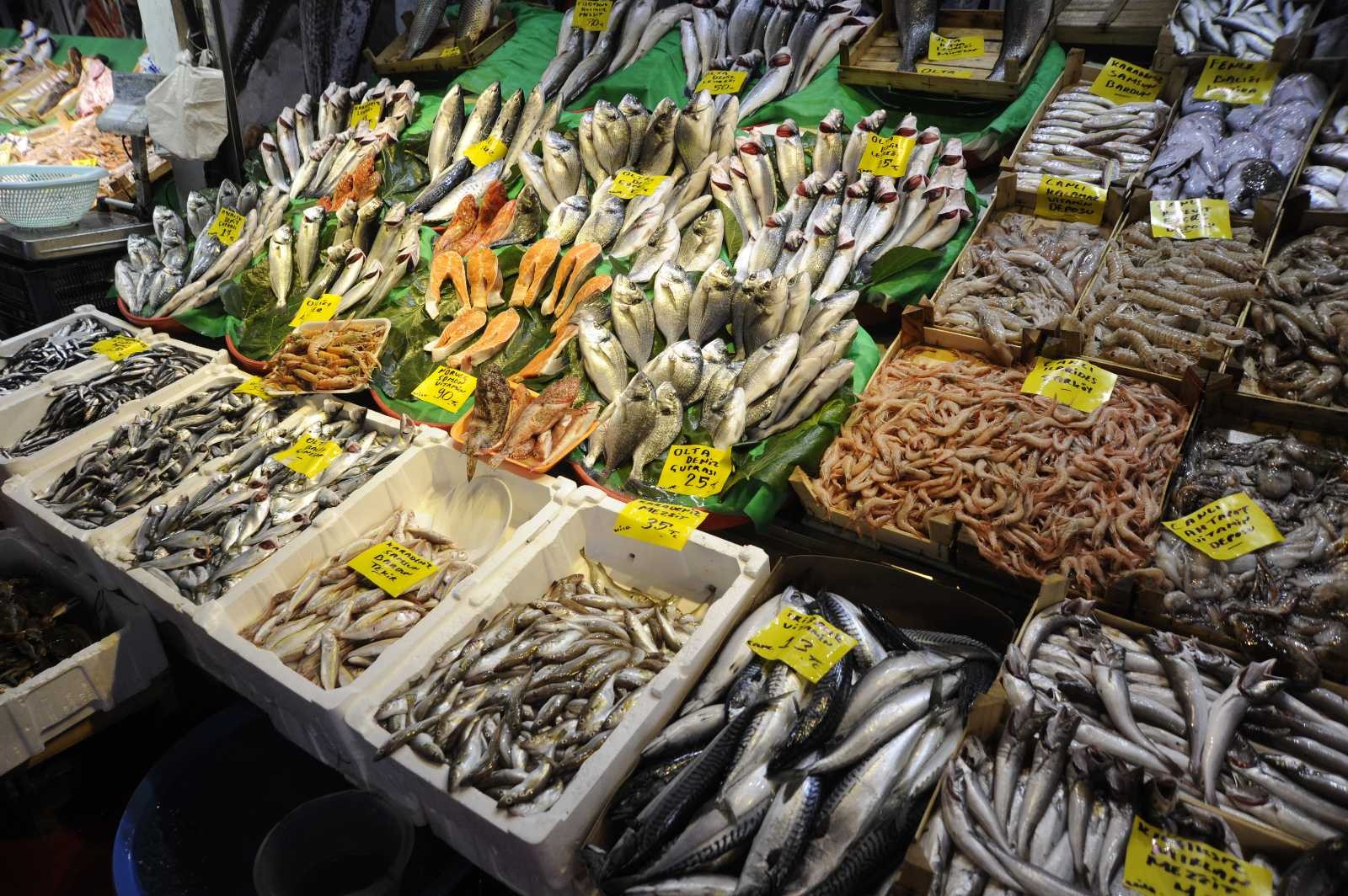 Balık tezgahlarında lüfer bolluğu yaşanıyor