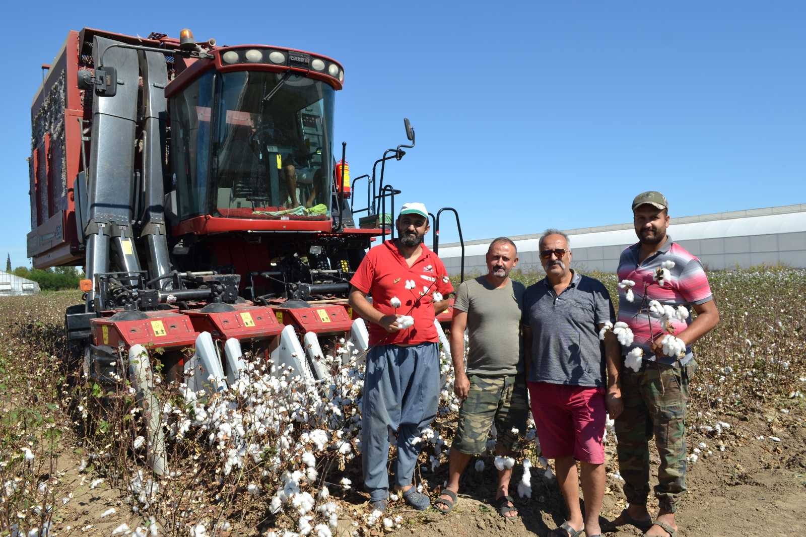 Beyaz altında hasat başladı, üretici ANTBİRLİK fiyatını bekliyor