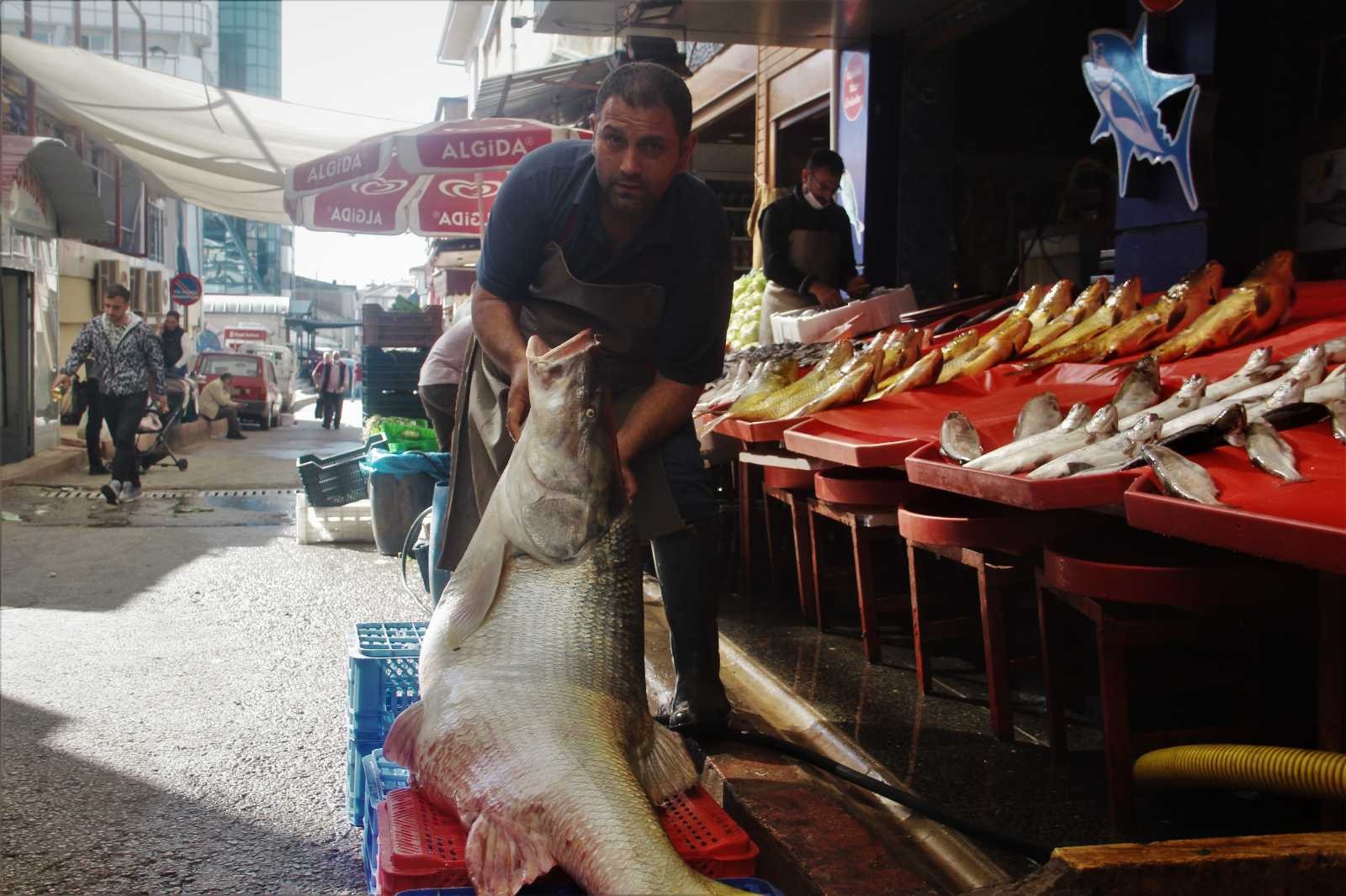 Elazığ’da sezonun ilk dev balığı yakalandı