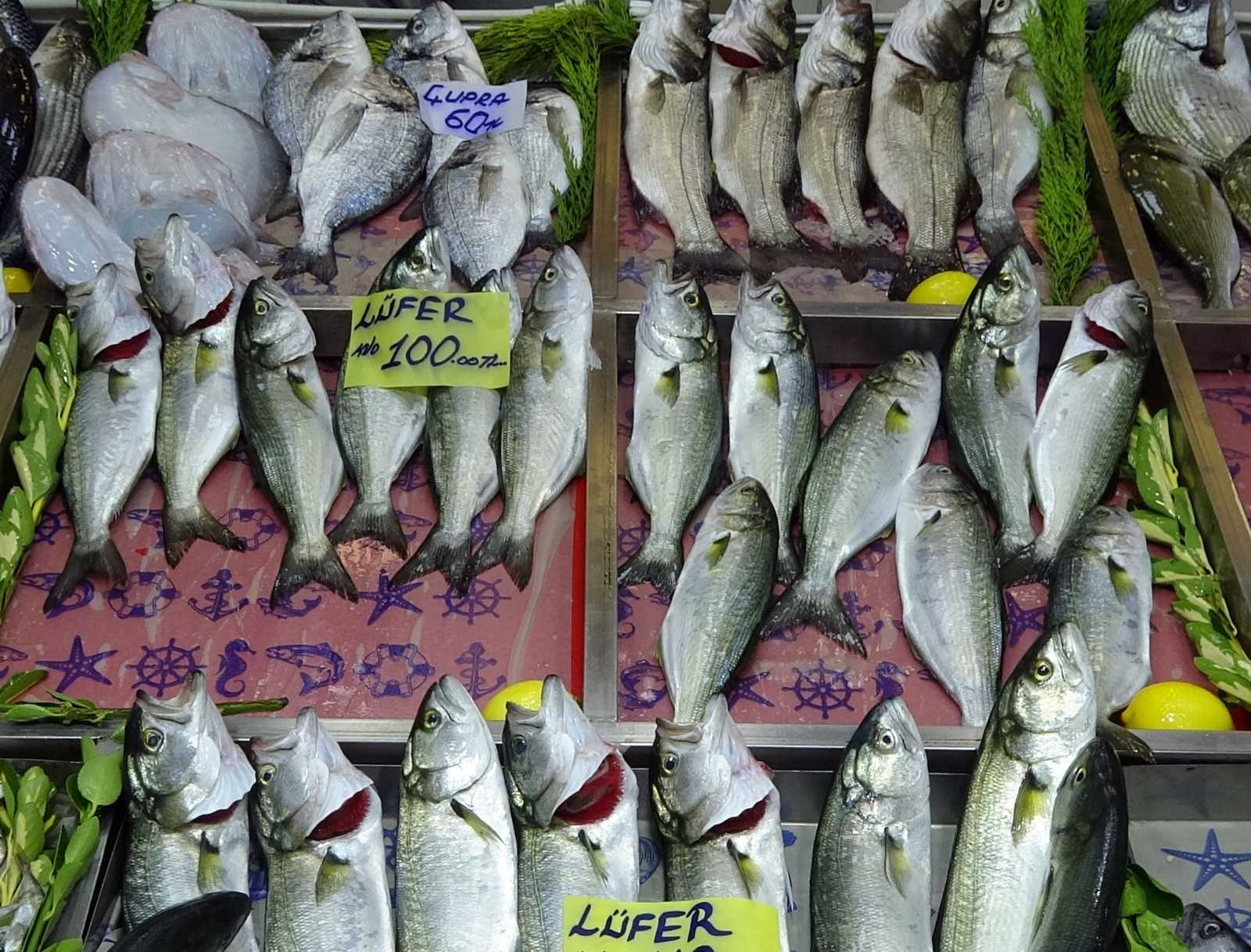 Çanakkale’de lüfer bollaştı, fiyatı 100 liraya düştü