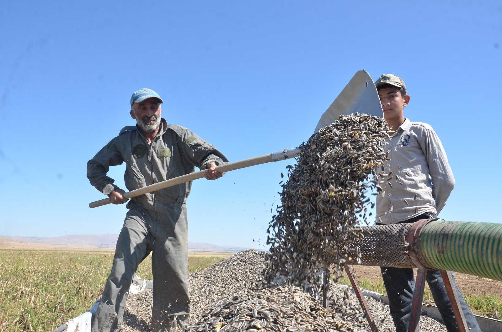 Başkan Bulut’tan "TMO çerezlik ayçeğirdeğini de alsın" teklifi