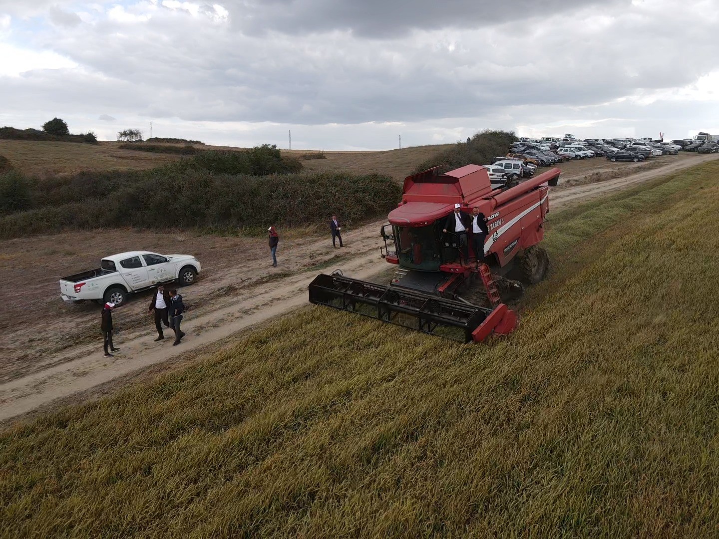 İpsala’da damlama sulama ile ilk defa ekilen çeltiğin hasadı yapıldı