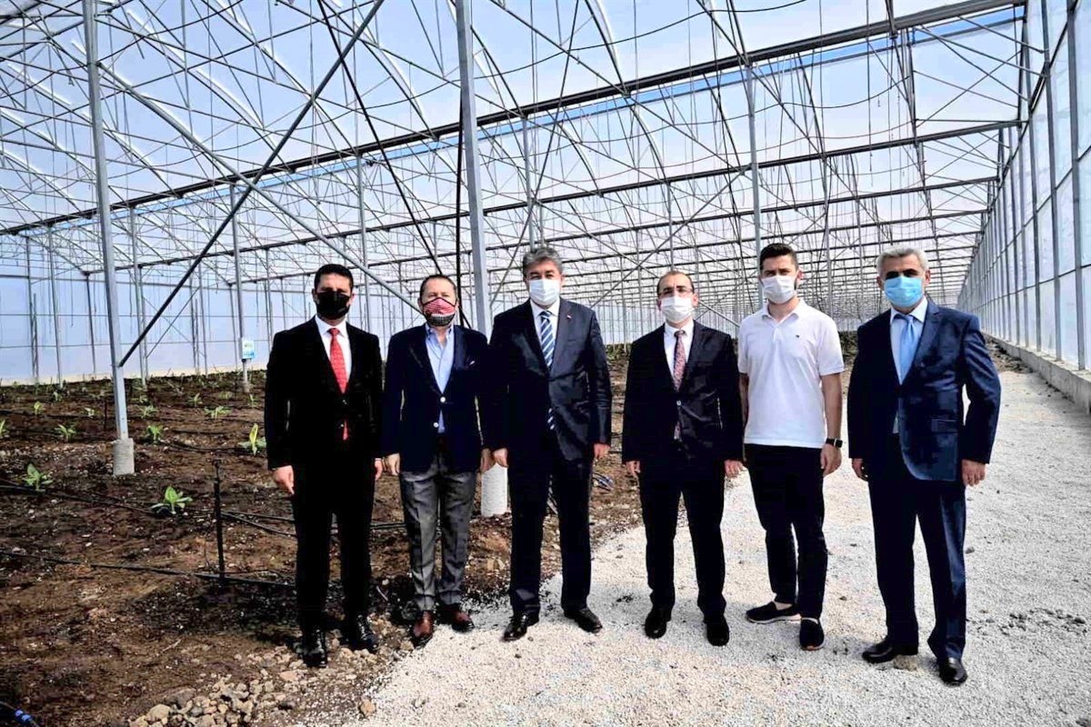 Türkiye’de ilk... OSB’ye muz serası kuruldu