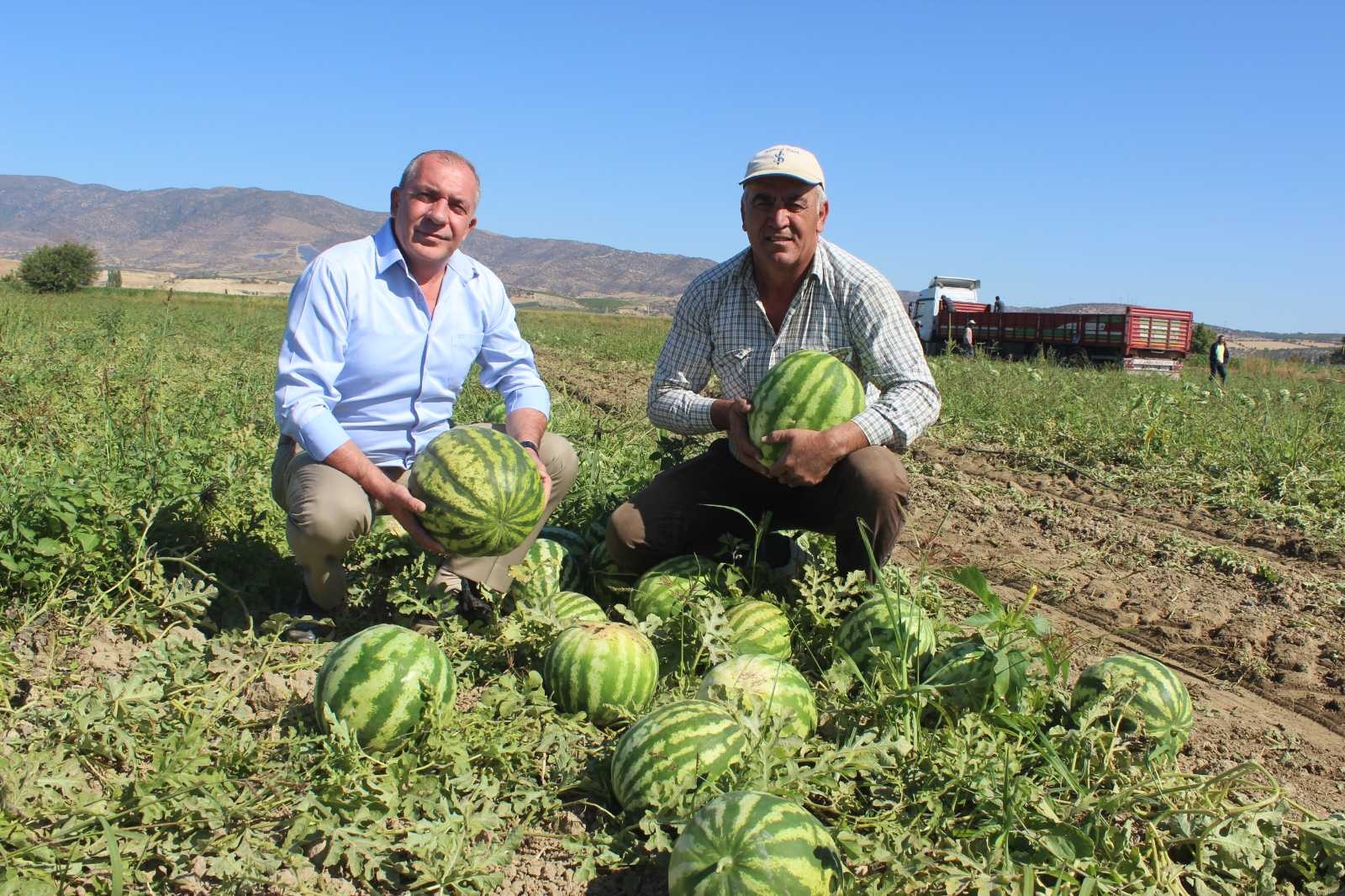 Dubai’nin karpuzu Manisa’dan