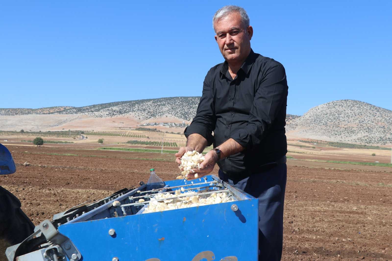 Araban’da sarımsak ekimi sürüyor