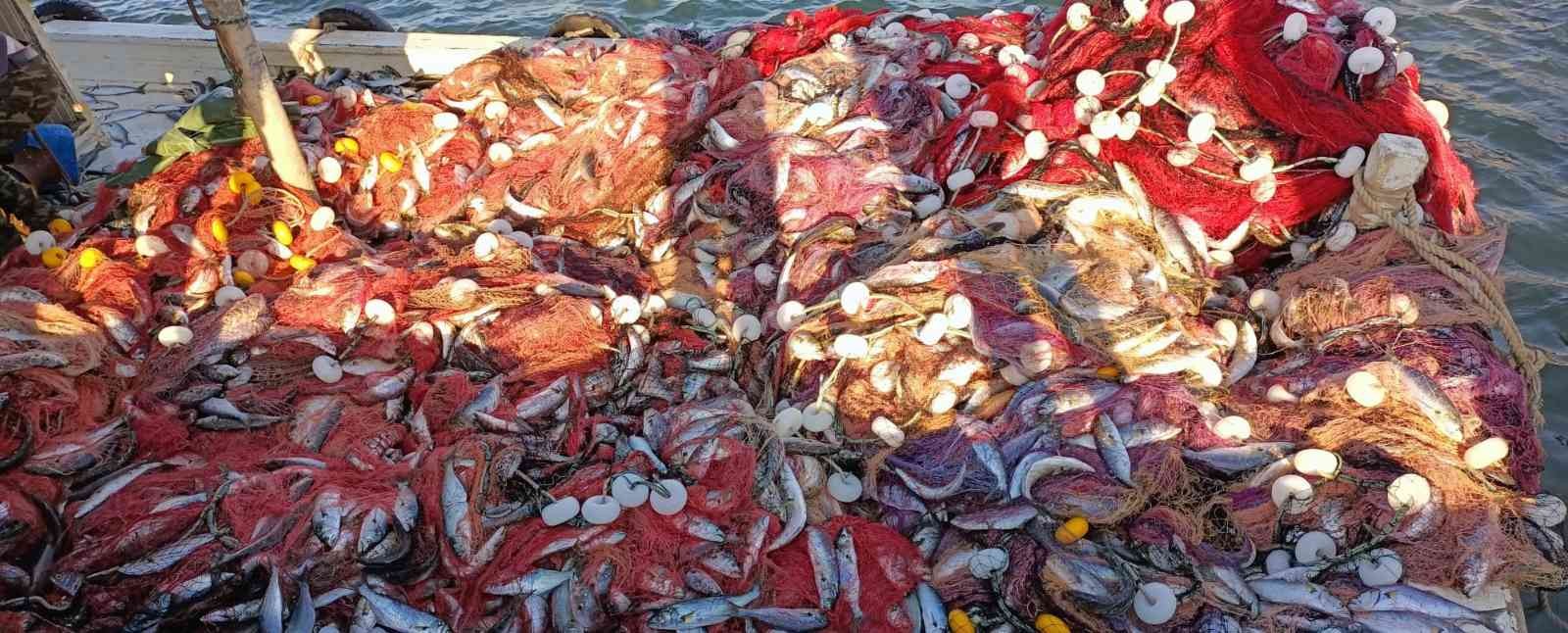 Çanakkale Boğazı’nda 15 bin lüfer yakaladılar