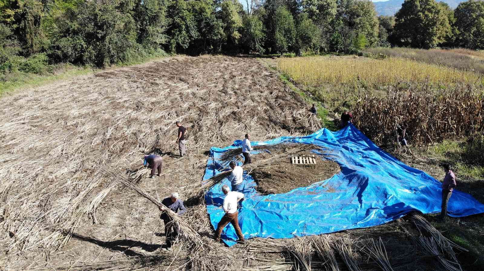 100 metrekarelik dükkanda işlenen kenevirler yurt dışına ihraç ediliyor