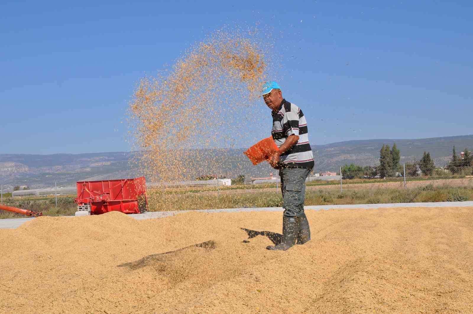 Çeltik tarlada 4, markette 25 lira